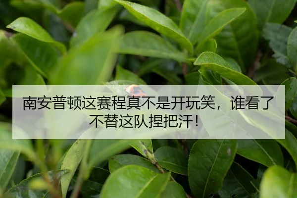 nan-an-pu-dun-zhe-sai-cheng-zhen-bu-shi-kai-wan-xiao-shui-kan-le-bu-ti-zhe-dui-nie-ba-han-2-836.jpg