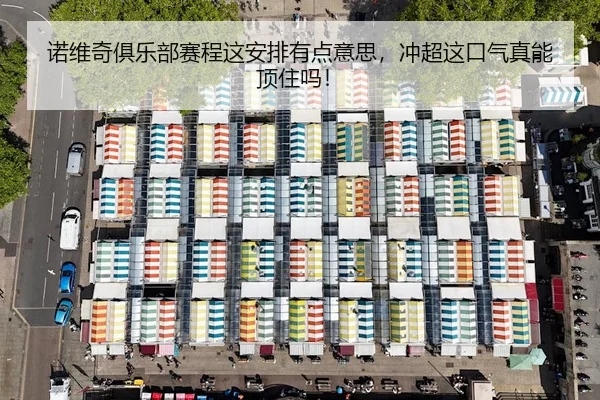 nuo-wei-qi-ju-le-bu-sai-cheng-zhe-an-pai-you-dian-yi-si-chong-chao-zhe-kou-qi-zhen-neng-ding-zhu-ma-2-256.jpg