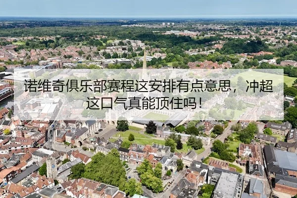 诺维奇俱乐部赛程这安排有点意思，冲超这口气真能顶住吗！