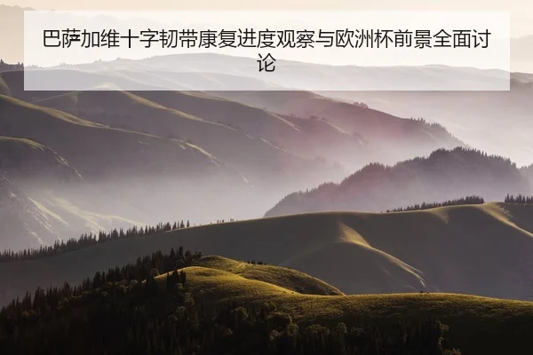 巴萨加维十字韧带康复进度观察与欧洲杯前景全面讨论