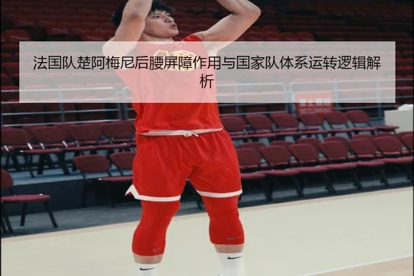 法国队楚阿梅尼后腰屏障作用与国家队体系运转逻辑解析