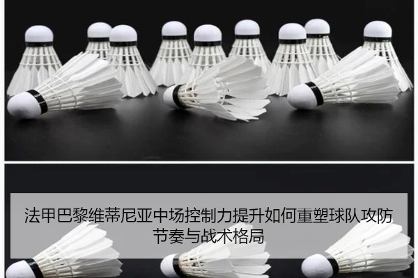 fa-jia-ba-li-wei-di-ni-ya-zhong-chang-kong-zhi-li-ti-sheng-ru-he-zhong-su-qiu-dui-gong-fang-jie-zou-yu-zhan-shu-ge-ju-2-285.jpg