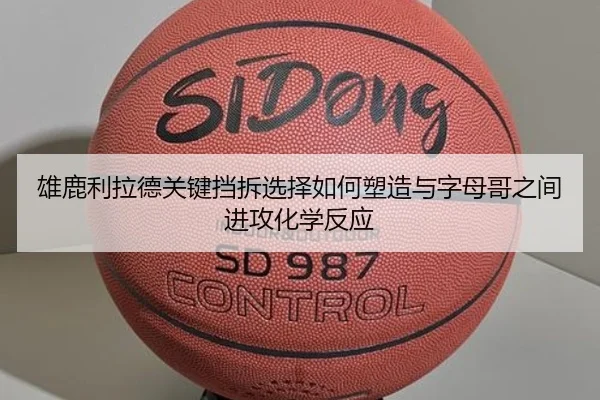 雄鹿利拉德关键挡拆选择如何塑造与字母哥之间进攻化学反应