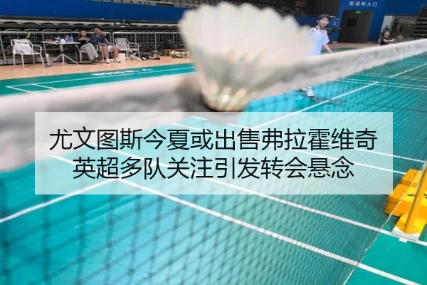 尤文图斯今夏或出售弗拉霍维奇 英超多队关注引发转会悬念
