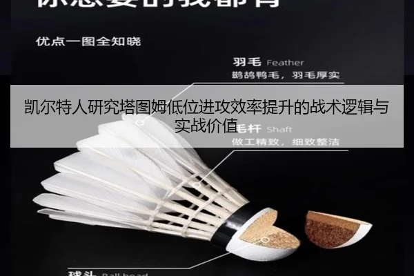 凯尔特人研究塔图姆低位进攻效率提升的战术逻辑与实战价值