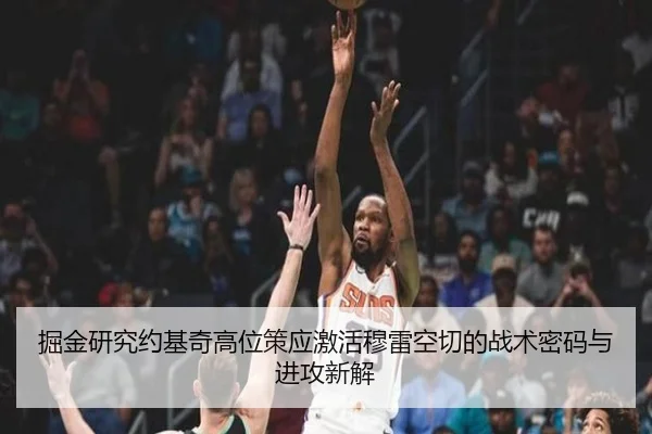 掘金研究约基奇高位策应激活穆雷空切的战术密码与进攻新解